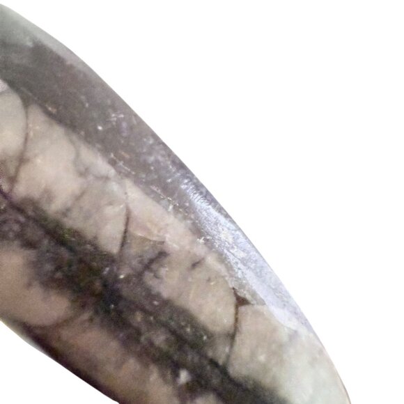 Orthoceras Fossil Pendant With Sterling Silver 925 Bail - Picture 7 of 7